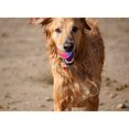 thumbnail image 4 of 2/4 Uds. Pelotas para perros con luz, pelota elástica intermitente que brilla en la oscuridad, juguetes interactivos para mascotas para cachorros, gatos, perros, cromáticos (2,16 pulgadas) Ormromra WMXL-124-1, 4 of 7