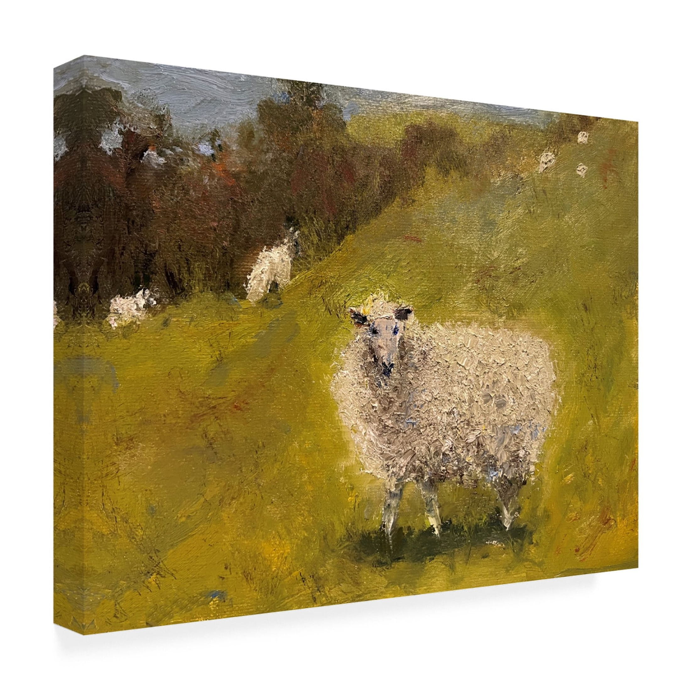 Trademark Fine Art Marilyn Wendling Sheep in Field III Canvas Wall Art