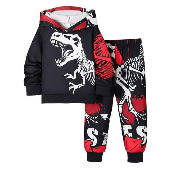 Tisuna 2 Pieces Outfit For Infant Boys Dinosaur Print Long Sleeve Hooded Clothes Fashion Handsome Spring Autumn Kids Daily Wear Set Black Size 9-12 Months