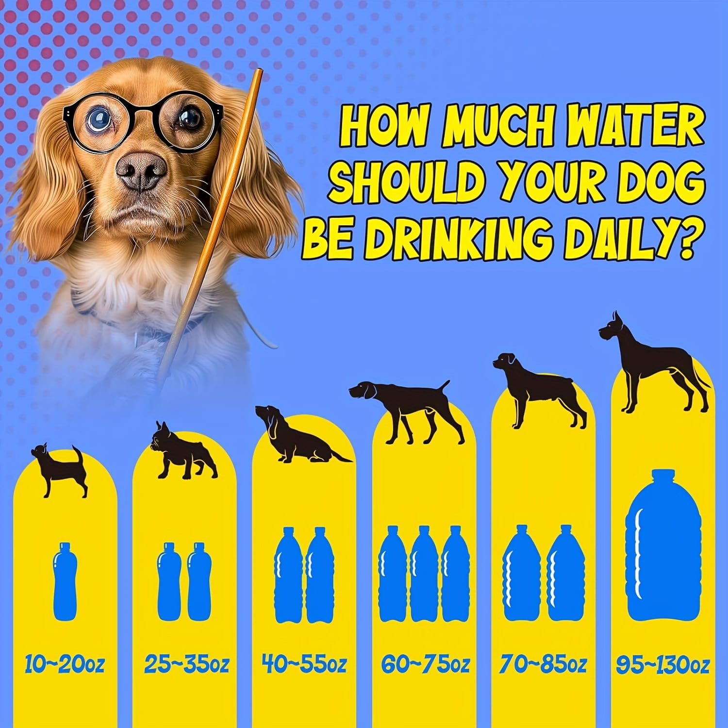 Large Pet Water Dispenser 3 Gallon/11.4L Stainless Steel, Automatic Drinking Bowl for Multiple Dogs, Wide Area, 2/4 Filters, Easy Clean, Silent pump