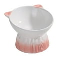 thumbnail image 2 of Vacemry under $5 Elevated Ceramic Cat Bowl, Ceramic Cat Food Bowl Large Capacity Pet Dish for Drinking Eating, Raised Design to Reduce Neck Strain, Easy to Clean Hygienic Surface, 2 of 6