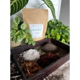 thumbnail image 2 of Ancient Soil Organic Living Soil, 2 of 11