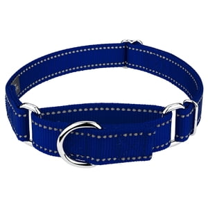 Country Brook Petz Royal Blue Reflective Martingale Collar