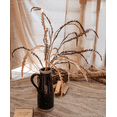 thumbnail image 4 of Artificial Spider Brake Fern Stem in Brown 43" Tall, 4 of 10