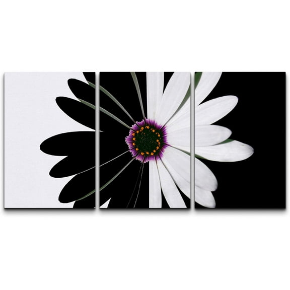 wall26 Canvas Print Wall Art Black & White Daisy with Purple Center Floral Botanical Photography Modern Bohemian Relax/Calm Multicolor Colorful for Living Room, Bedroom, Office - 16"x24"