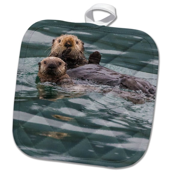 3dRose, Sea otter and pup, Icy Strait, Alaska, USA, 8x8 Potholder