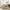 Beige, variant on Twin Size Platform Bed with Pull-out Twin Size Trundle, Wood Bed Frame with Velvet Upholstered Headboard, Trundle Bed with Stripe Design, for Bedroom, Apartment, Beige