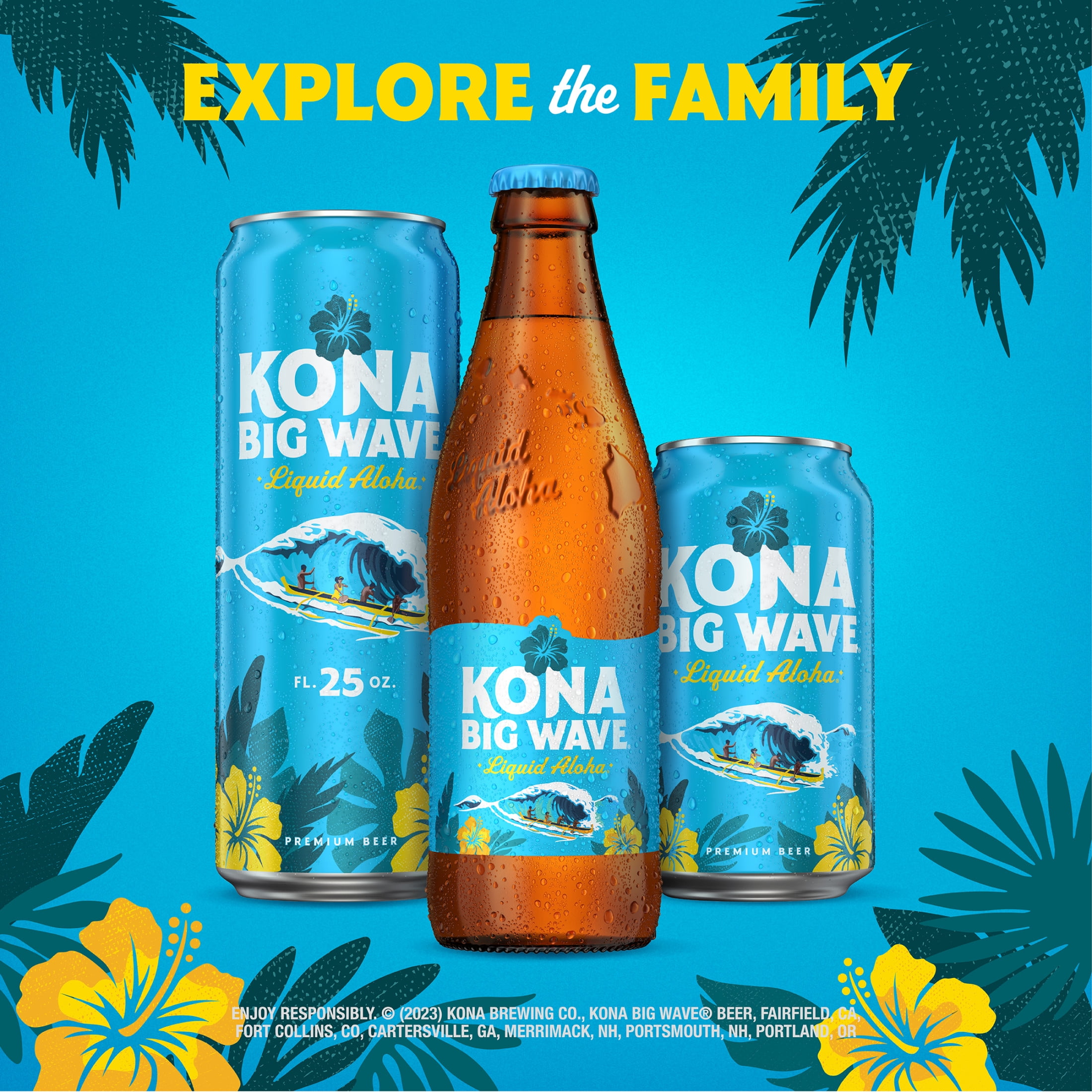 Kona Big Wave Premium Beer 12 Pack 12 fl oz Aluminum Cans Kona Big Wave Premium Beer 12 Pack 12 fl oz Aluminum Cans