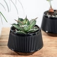 thumbnail image 4 of Flower pot root control breathable double layer flower pot plastic resin pot, 4 of 10