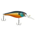 thumbnail image 2 of Berkley Bad Shad Fishing Lure, Gilly, 1/3 oz, 2 of 5