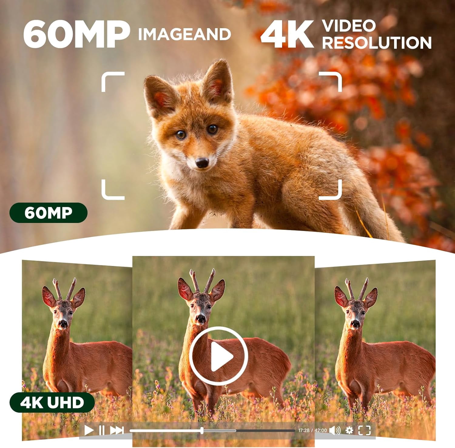 CAMPARK 4K 30fps 60MP Solar WiFi Trail Camera, Starlight Night Vision Dual Lens Bluetooth Game Camera with 0.1S Trigger IMX458 Sensors Hunting Cam with 120° Wide-Angle IP66 Waterproof