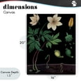 thumbnail image 4 of Stupell Industries Victorian Sprouting Wildflower Illustrations Canvas Art, 16 x 20, by Vintage Hustle, 4 of 8