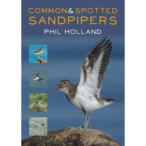 Common & Spotted Sandpipers (Paperback)