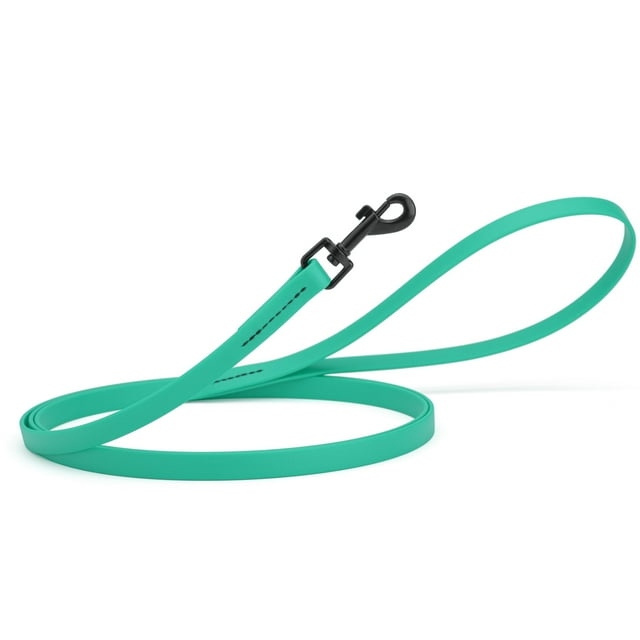 Dogline Biothane Waterproof Dog Leash Strong Coated Nylon Webbing with Black Hardware Odor-Proof Easy to Clean High Performance for Small or Large Dogs Made in USA 4 or 6 ft Lead, Teal