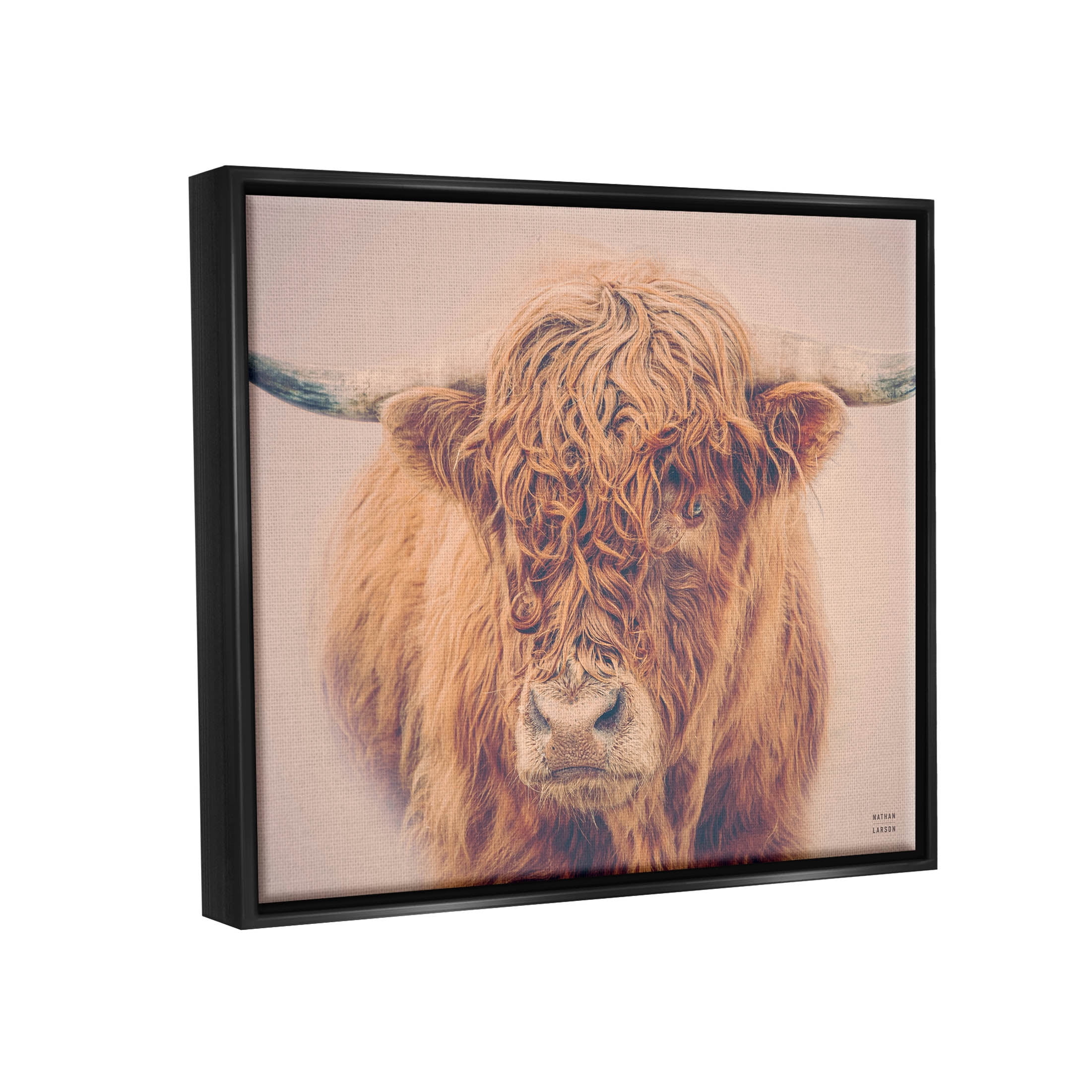 Stupell Industries Highland in Winter Fog Brown Cow Photograph Jet Black Floating Framed Canvas Print Wall Art, Design by Nathan Larson