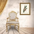 thumbnail image 3 of Wang, Melissa 26x32 Gold Ornate Wood Framed with Double Matting Museum Art Print Titled - Orchid Display IV, 3 of 4
