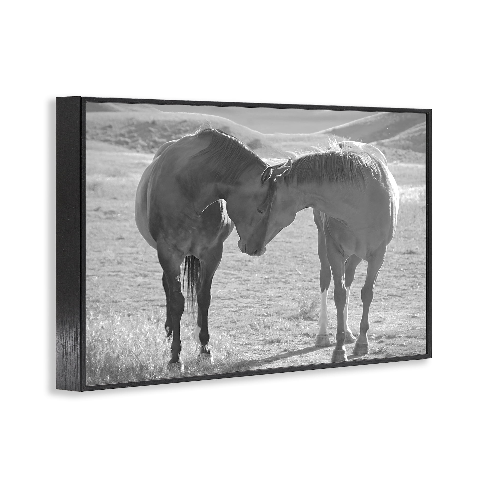 Stupell Industries Sweet Nothings Bond Between Horses Black Framed Giclee Art, design by Steve Toole