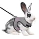 thumbnail image 1 of Arnés ajustable para conejos, de malla transpirable, para caminar y trotar, para conejos y gatitos, talla L, color rosa, 1 of 3