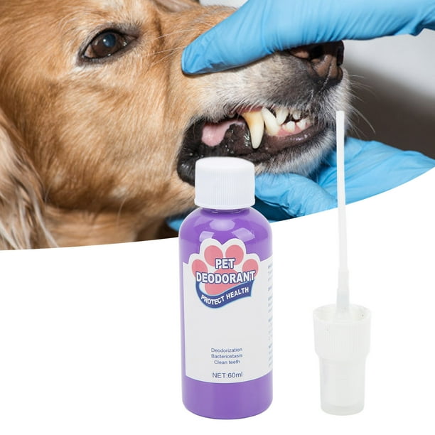Dog clearance eats deodorant