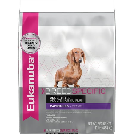 Eukanuba Breed Specific Dachshund Nutrition Dry Dog Food, 10 (Best Dog Food For Dachshunds)