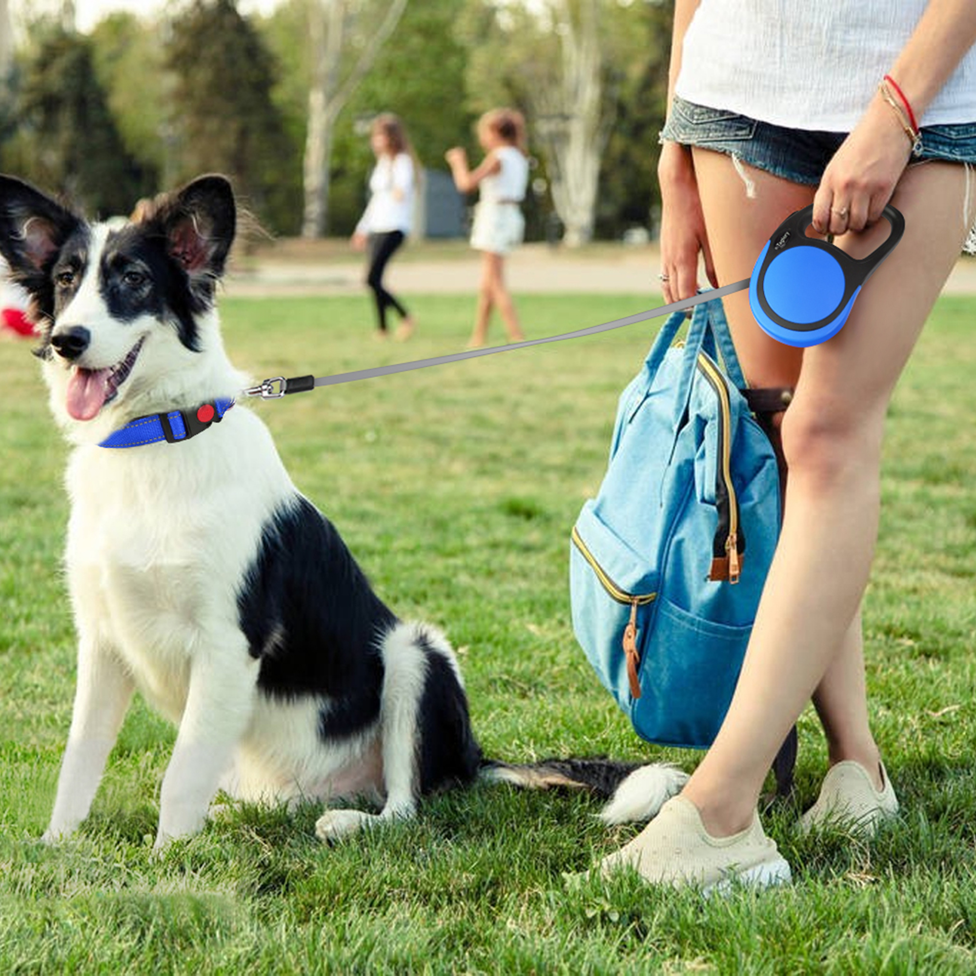 Taglory Retractable Dog Leash 16-Foot Blue photo 7