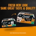 thumbnail image 4 of Cesar Filets in Gravy Poultry Flavor Variety Wet Dog Food Adult, 3.5 oz Easy Peel Trays (12 Pack), 4 of 15