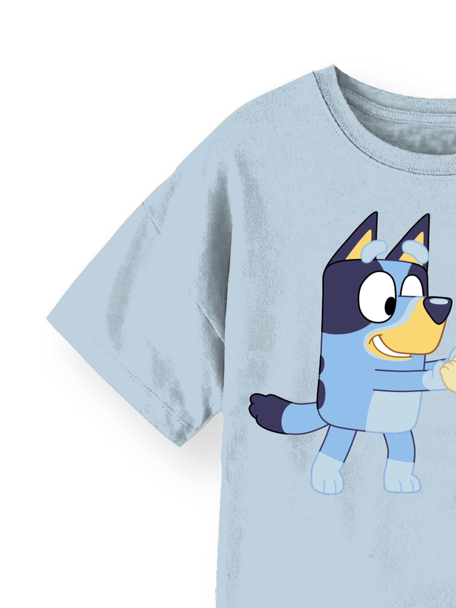 Bluey and Bingo Girls Short Sleeve Graphic T-Shirt, Sizes 4-16