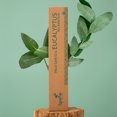 thumbnail image 4 of Incienso Aromático Artesanal Palo Santo y Eucalipto Relajación 100% Vegano para Hogar, Oficina y Meditación 3 PACK, 4 of 5