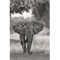 thumbnail image 2 of Catta, Alessandro 17x24 White Modern Wood Framed Museum Art Print Titled - Coming ..., 2 of 4