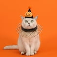 Zhuoting Pet Clothes For Large Dogs Girl Pet Clothes For Small Dogs zhuoting-pet-clothes-for-large-dogs-girl-pet-clothes-for-small-dogs