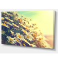 thumbnail image 2 of Nature with Blooming Chamomiles - Large Floral Wall Art Canvas, 2 of 3