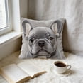 thumbnail image 2 of ddioayh Throw Pillow Cover Animal Print Soft Machine Washable 45x45cm for Sofa Chair Bedroom Home Decor Spring Easter Pet Theme Decorative Gift Idea, 2 of 6