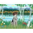 thumbnail image 3 of CafePress - Birches / Ger SH Pointer - Postcards (Package of 8), 3 of 3