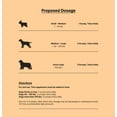 thumbnail image 2 of Dogs Reformed Healthy and Young Whole-Body Dog Supplement, 2 of 7