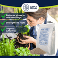 thumbnail image 4 of Supply Solutions Pacific Bounty Organic Fish Bone Meal Fertilizer 6-13-0 - Plus 14% Calcium for Plants Root Development- High Phosphorus Plant Food for Tomatoes, Flowers, Bulbs, Veggies (20lbs), 4 of 8