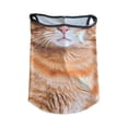 thumbnail image 3 of koolsoo Cache-Cou Rafraîchissant Protection Solaire Bandana pour le Visage pour Femmes Hommes Visage Doux A, 3 of 9