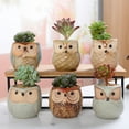 thumbnail image 5 of CSCHome Durable Flower Pots Succulents Plants Pots 2PCS Owl Planter Ceramic Flower Pots, 5 of 6