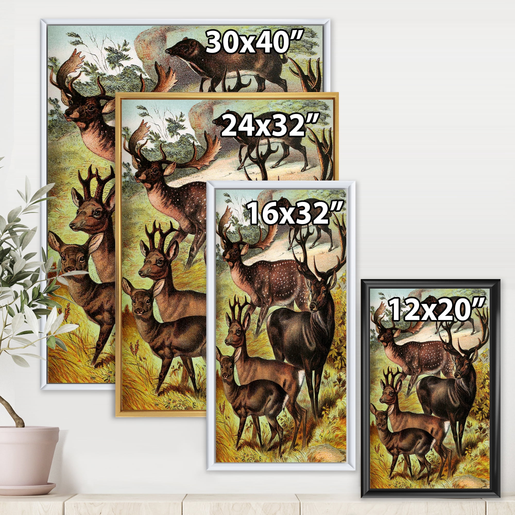 Designart 'Old-world Mammals I' Farmhouse Framed Canvas Wall Art Print