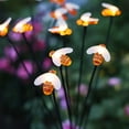 thumbnail image 1 of Guirnalda de Luces Solares con Forma de Luciérnagas - Decoración Ambiental para Jardín o Patio, Luces Led Solares Resistentes a La Intemperie para Césped y Jardín., 1 of 7