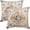 2pcs Style 25, variant on Pack of 2 Pillow Covers 16x16 Inch, Vintage Turkish Boho Decorative Throw Pillow Covers for Home Decor Living Room Bed Couch, Green Boho Pillowcase Set of 2