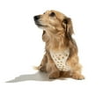 thumbnail image 4 of Oodles Checkerboard Quilted Dog Walking Harness, Black, Small, 4 of 11