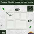 thumbnail image 2 of Rani 5 Compartment Square Biodegradable Divided Plates, Pack of 1000 ~ Party, Thali, Buffet | Disposable & Eco-Friendly | Heavy-Duty Sturdy Paper Bagasse | 10.24" x 8.27" x 0.91", 2 of 9