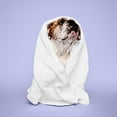 thumbnail image 5 of Paul Mitchell Pet Calming Lavender Mint Shampoo, 16.9 oz., 5 of 7