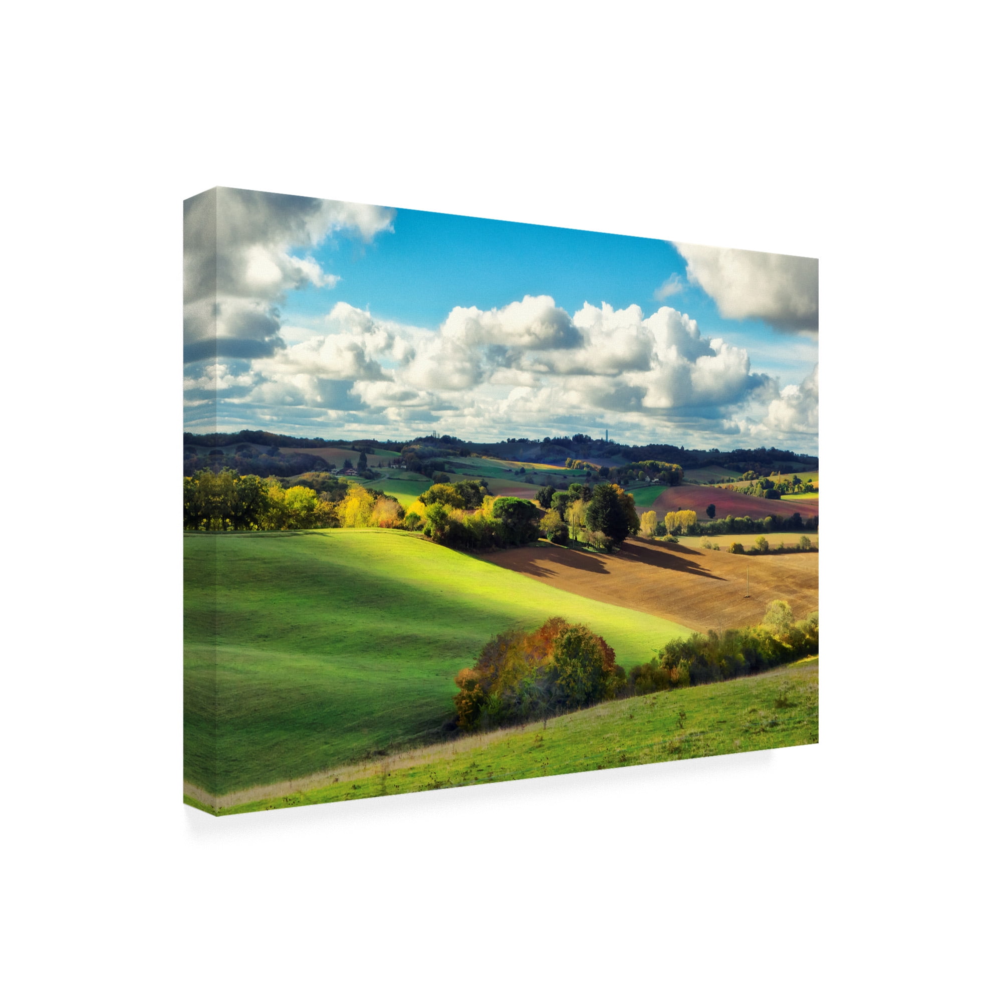 Trademark Fine Art 'Pastoral Countryside III' Canvas Art by Colby Chester