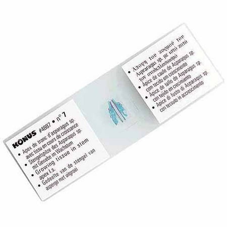 Konus Educational Microscope Slide Set for Teaching Science
