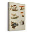 thumbnail image 2 of Mushroom Species X Premium Gallery Wrapped Canvas - Ready to Hang, 2 of 9