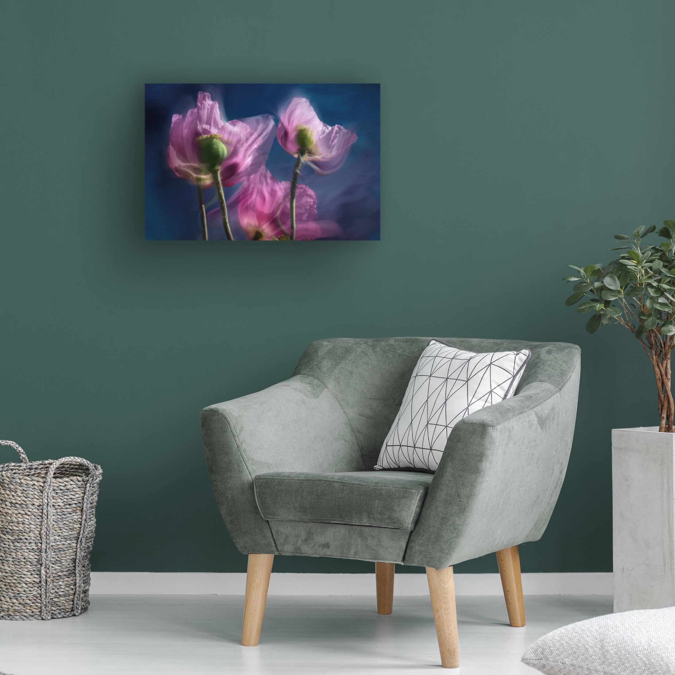 Trademark Fine Art Stephan Ruckert Poppies by the wayside Canvas Wall Art