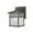Olde World Iron, variant on 9110-34-Dolan Lighting-Barton 1-Light Outdoor Wall Lantern-Olde World Iron Finish