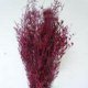 thumbnail image 1 of Almacén virtual Arreglo floral de hierba para amantes Plantas artísticas hechas a mano Flores secas naturales Nomeolvides 1 paquete Borgoña Shopeej Embargoed ANGGREK  Otros, 1 of 3
