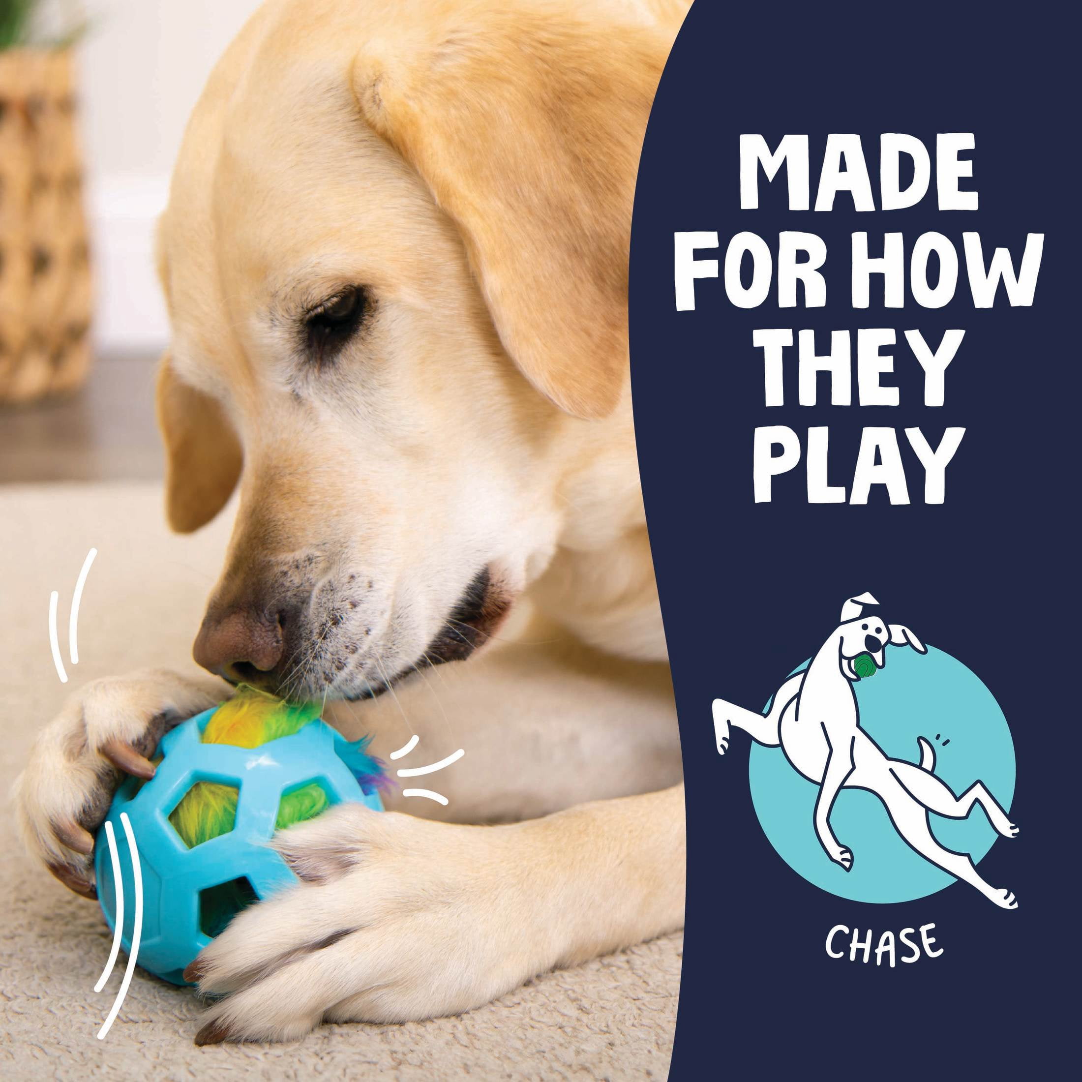 goDog Bounceez Webly Bouncy Dog Toy, Blue, One Size